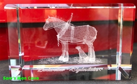 Budweiser Parade Dress Laser Crystal