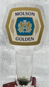 Molson Golden Tap