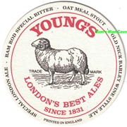 Young's Beer Coaster