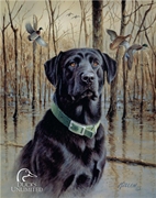 Ducks Unlimited Great Retrievers Metal Sign