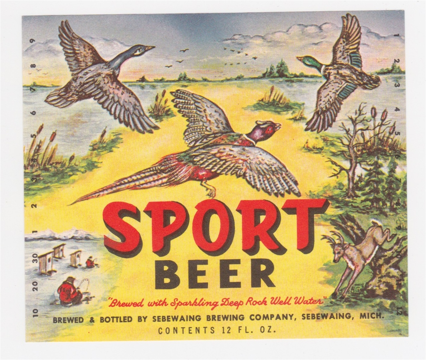 Sport Beer Label
