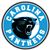 Carolina Panthers Tap Handle