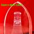 Michelob Light Bottle Laser Crystal