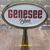 Genesee Beer Tap Handle