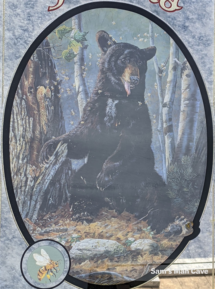 Hamm's Black Bear Mirror