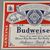 Budweiser Beer Label