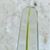Robin Hood Cream Ale Tap Handle side view